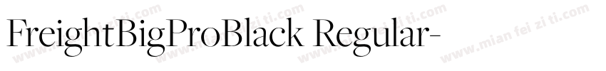 FreightBigProBlack Regular字体转换